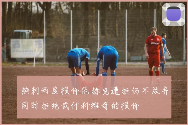 热刺两度报价范赫克遭拒仍不放弃同时拒绝武什科维奇的报价