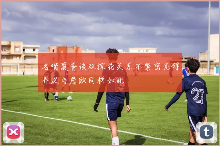 名嘴夏普谈双探花关系不紧密无碍乔皮与詹欧同样如此